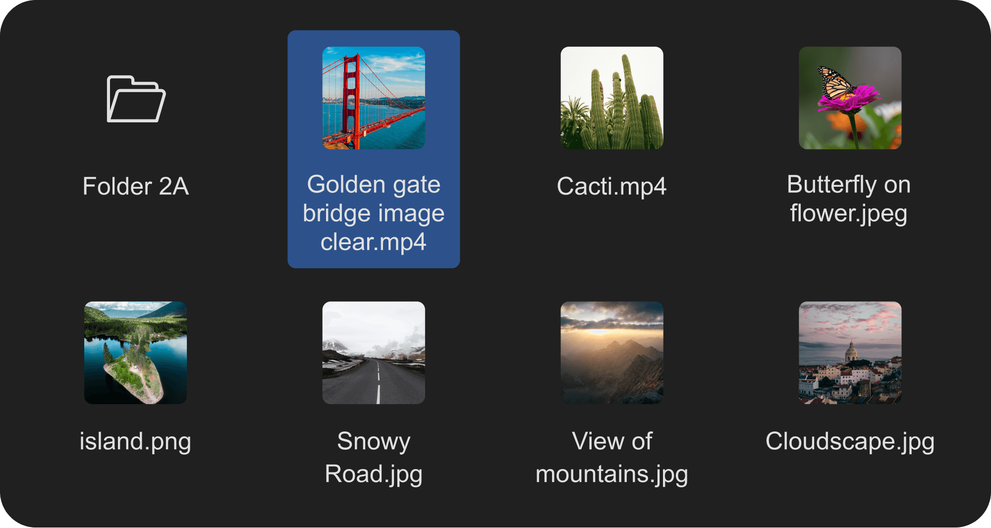 Media files and folder